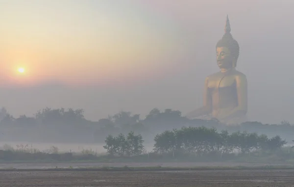 Le grand Bouddha au temple Wat Muang avec brouillard et arbre quand sunris — Photo