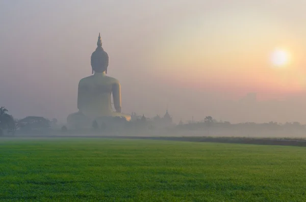 El Gran Buda en el Templo Wat Muang con niebla y hierba al amanecer —  Fotos de Stock