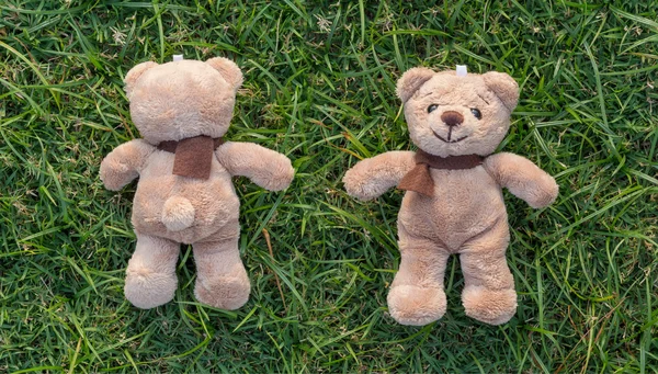 Dois TEDDY BEAR cor marrom com cachecol na grama, frente e bac — Fotografia de Stock