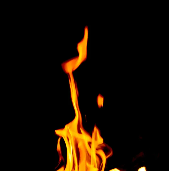 Fire flames on a black background — Stock Photo, Image