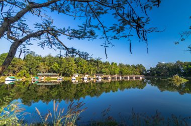 karışık orman ve bungalow göl ve mavi gökyüzüne yansıyan