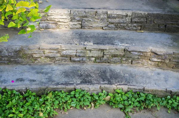 Escaleras en el jardín — Foto de Stock