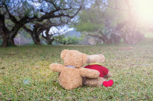 Dois TEDDY BEAR cor marrom sentado na grama sob a árvore com — Fotografia de Stock