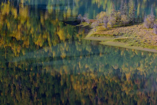 黄色と緑の秋、湖で抽象的な反射 — ストック写真
