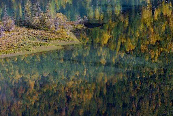 Otoño amarillo y verde, reflejo abstracto en el lago — Foto de Stock