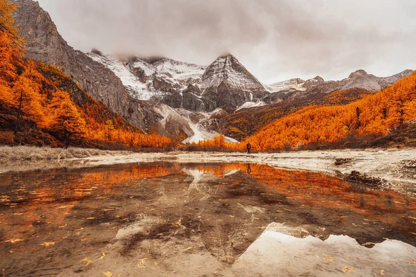 Asian Woman Travel Walking Sightseeing Area Yading Nature Reserve China — Stockfoto