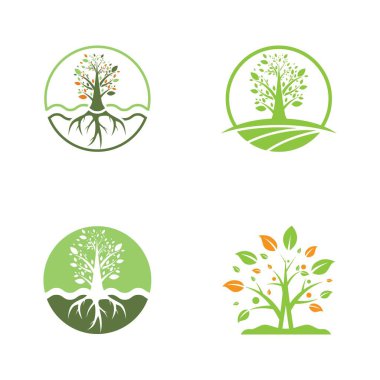 Ağaç yaprağı vektör logosu tasarımı
