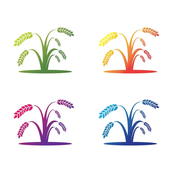 Дизайн Векторного Набора Иконок Логотипа Риса — стоковый вектор