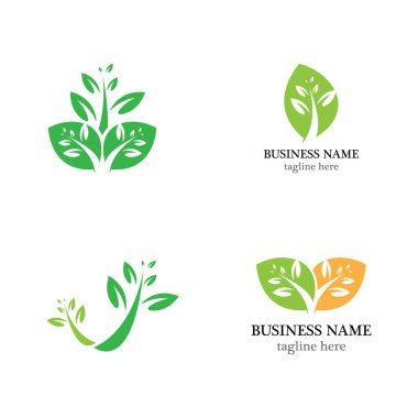 Yaprak vektörü logo şablon dizaynı tasarımı