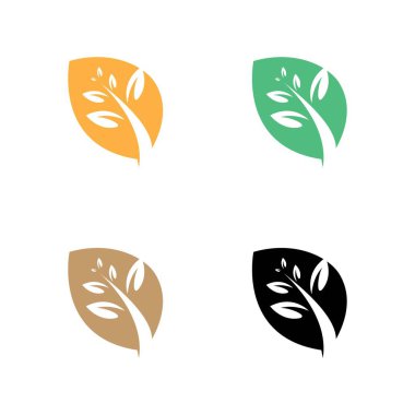 Yaprak vektörü logo şablon dizaynı tasarımı