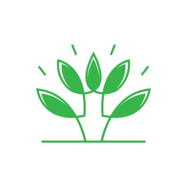 Yaprak vektörü logo şablon tasarımı