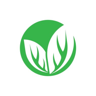 Yaprak vektörü logo şablon tasarımı