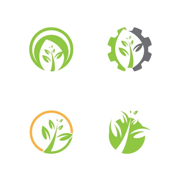 Hoja Vector Logo Plantilla Icono Conjunto Diseño — Vector de stock