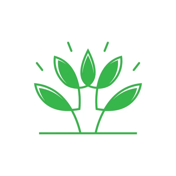 Blatt Vektor Logo Vorlage Icon Design — Stockvektor