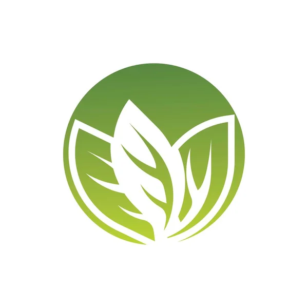 Leaf Vector Logo Template Icon Design — Stock Vector