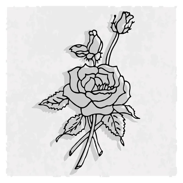 玫瑰的背景剪影. — 图库矢量图片