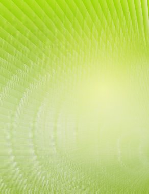 iş broşür şablonu