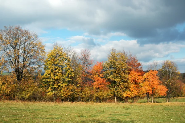 Bunter Herbst — Stockfoto