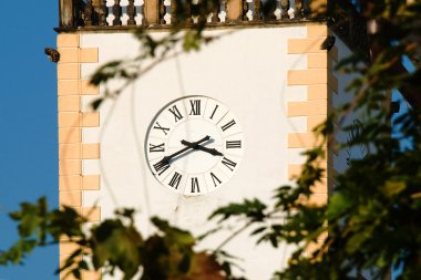 Kule saati vista ağaçların arasındaki