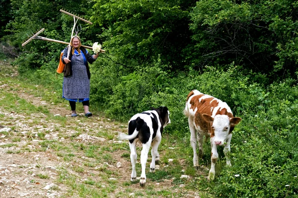 Невідома жінка, повертаючись з поля — стокове фото