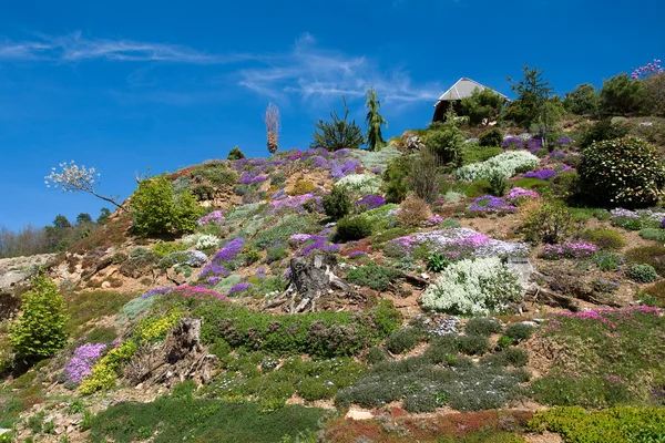 Arboreto a Paseka di Sternberk, Repubblica Ceca — Foto Stock