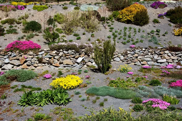 Arboretum w paseka przez sternberk, Republika Czeska — Zdjęcie stockowe