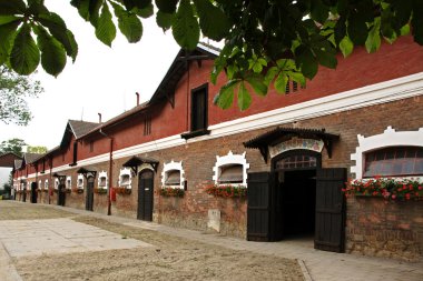 ahır stud grupta napajedla