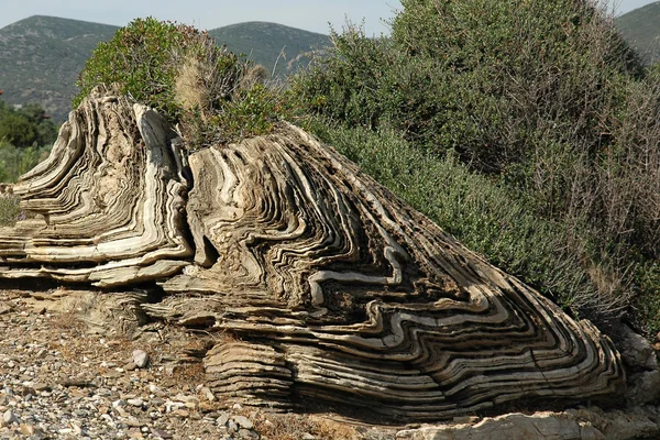 Wapień wyblakły na wybrzeżu Morza Śródziemnego — Zdjęcie stockowe