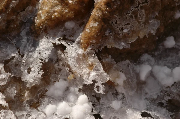 Kryształy soli morskiej — Zdjęcie stockowe