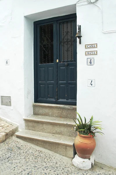 Porte en bois bleu foncé, sonnette et pot de fleurs — Photo