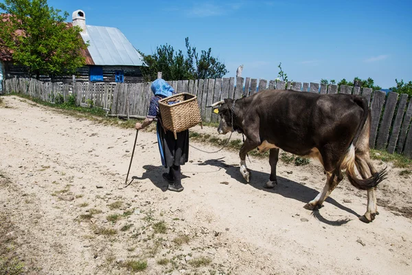 VILLAGE ROVENSKO, ROMANIAN BANAT, 27 de maio de 2009 - Mulher não identificada retornando do campo — Fotografia de Stock