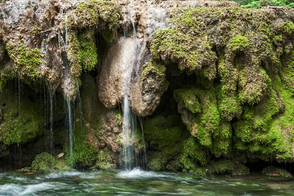 Cascadas y cascadas en bosque —  Fotos de Stock