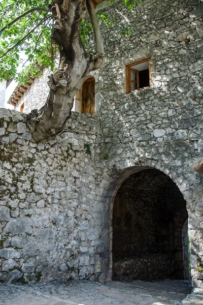 El tronco de un árbol viejo cubierto de pared de la casa — Foto de Stock