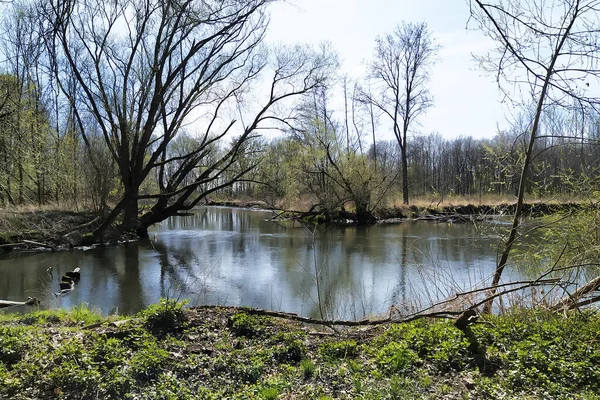 Spring River Litovelske Pomoravi Which Protected Landscape Area Czech Republic — Stock Photo, Image