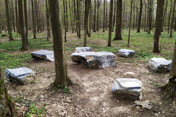 Place Sit Worked Stones Forest Litovel Resting Place Relax Tourists — Photo