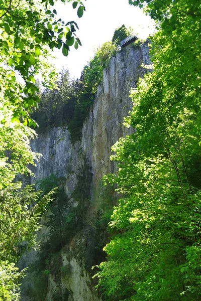 Macocha Gorge Lub Macocha Abyss Czechy Europa Widok Górnej Platformy — Zdjęcie stockowe