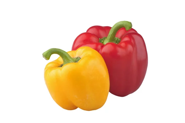 Two peppers — Stock Photo, Image