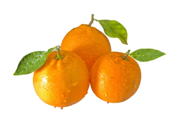 Três laranjas wih folhas — Fotografia de Stock