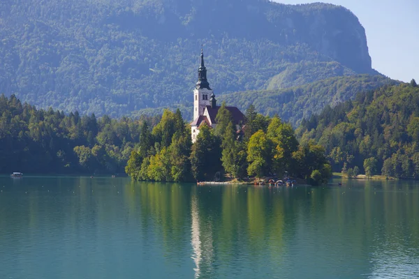 Bled ostrov — Stock fotografie