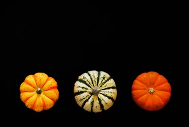 Siyah arka planda turuncu pompalama. Sonbahar, Cadılar Bayramı ve Şükran Günü.