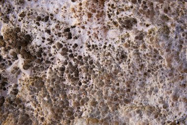 Doğal kaya dokusu ve sarı liken..