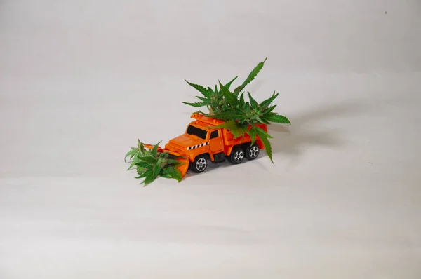 Ein Bagger Lädt Cannabis Einen Lastenwagen Das Spielzeugauto Trägt Medizinisches — Stockfoto