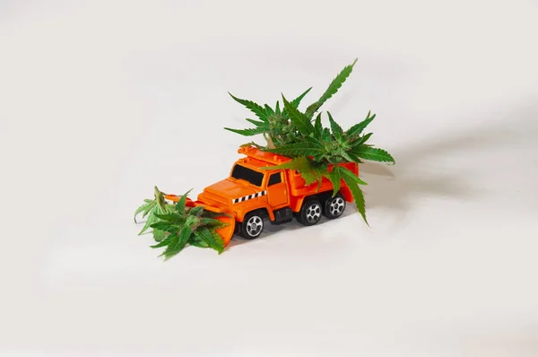 Ein Bagger Lädt Cannabis Einen Lastenwagen Das Spielzeugauto Trägt Medizinisches — Stockfoto