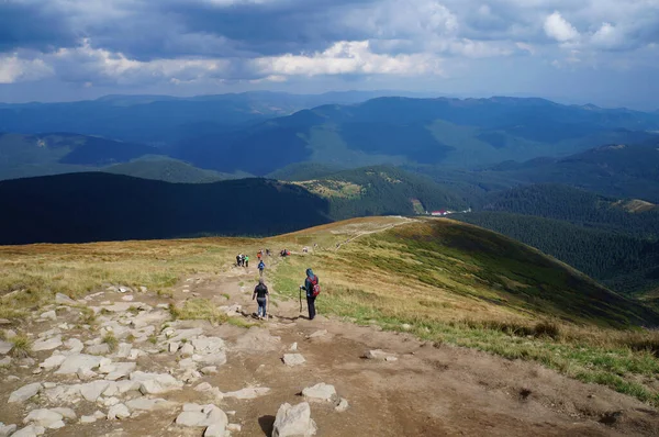 View Road Leading Top Mount Hoverla Ukrainian Carpathians —  Fotos de Stock