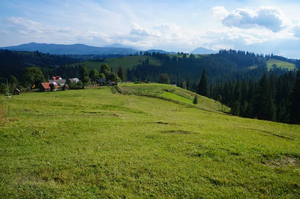 Ukrayna Karpatları 'nın manzaraları. Dağlar, vadiler, çimenler