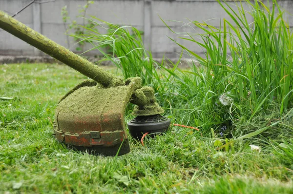 Manual Lawn Mower Trimmer Mows Green Grass Lawn Close — Stockfoto