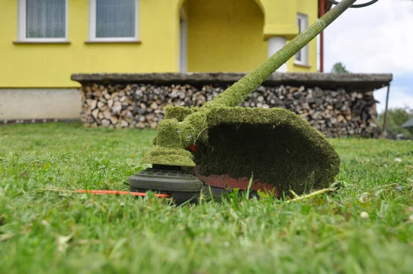 Manual Lawn Mower Trimmer Mows Green Grass Lawn Close — Stockfoto