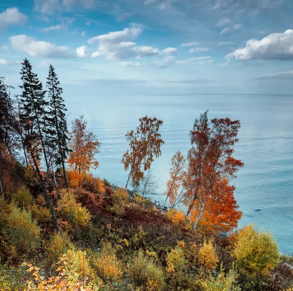 Picturesque landscape