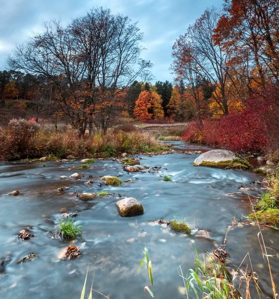 Río Otoño Fotos de stock libres de derechos