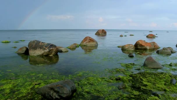 Спокійна вода і каміння — стокове відео